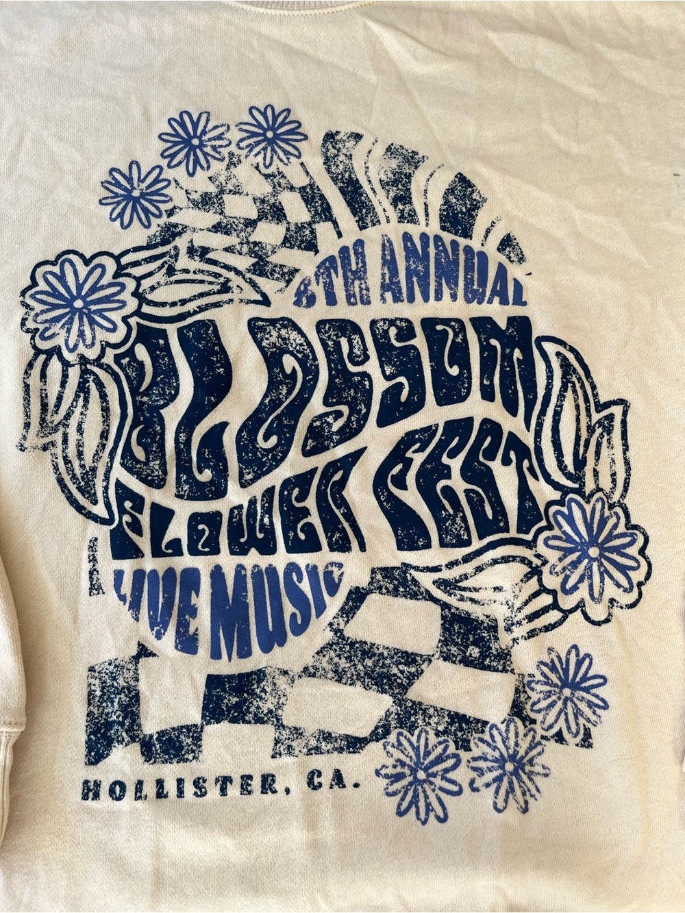 Hollister Blooming Festival Graphic Crewneck - Blue on Cream - size small